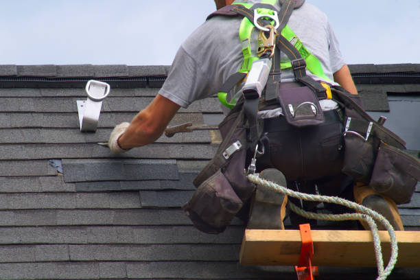 Best Residential Roof Replacement  in Baldwin, MI