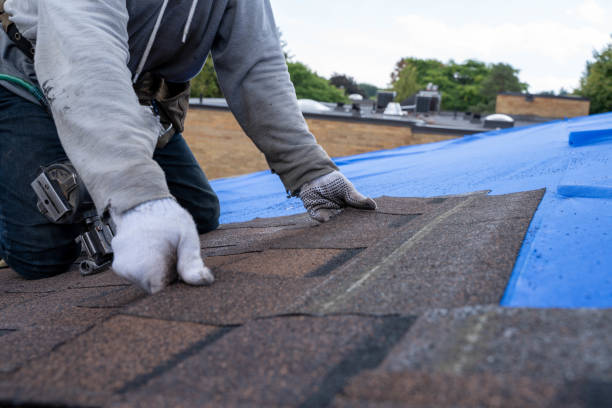 Quick and Trustworthy Emergency Roof Repair Services in Baldwin, MI