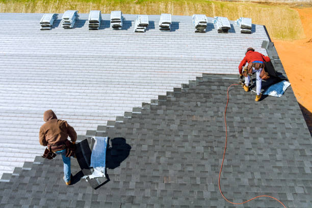 Best Metal Roofing Contractor  in Baldwin, MI