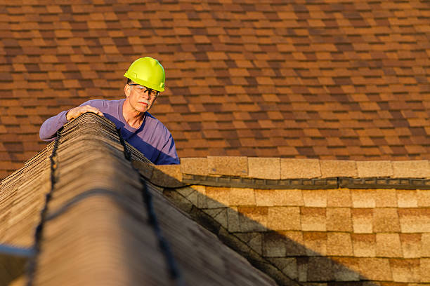 Best Roof Maintenance Services  in Baldwin, MI