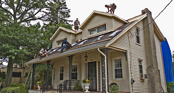 Best Roof Gutter Cleaning  in Baldwin, MI