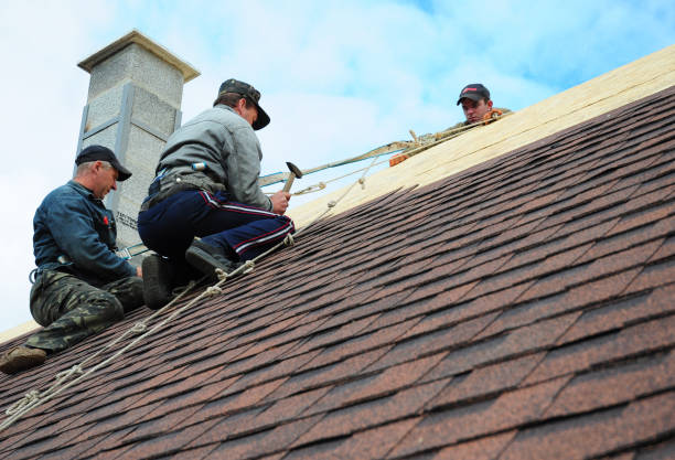 Best Tile Roofing Contractor  in Baldwin, MI